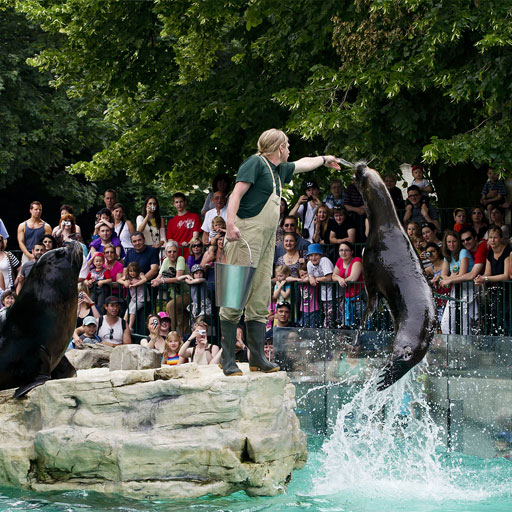An online-ticketed zoo in Vienna with a group of people observing sea lions.
