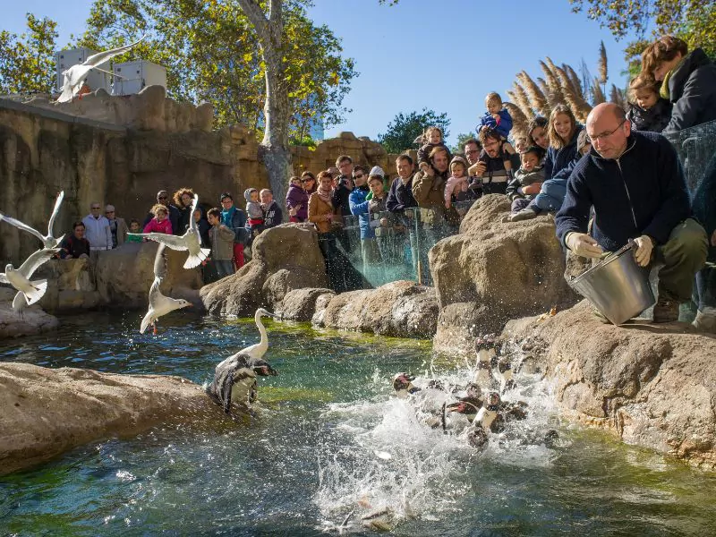 Parque Zoológico de Barcelona barcelona zoo online tickets things to do
