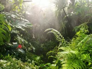 tropical greenhouse in a zoo