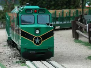 zoo train (2)