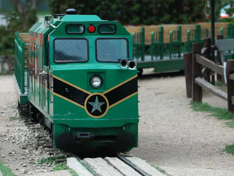 zoo train (2)