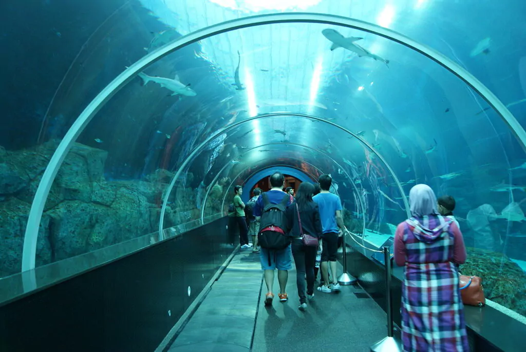 The Shark Seas section of the S.E.A. Aquarium in the Marine Life Park at Resorts World Sentosa, Singapore.Smuconlaw/ Wikimedia
