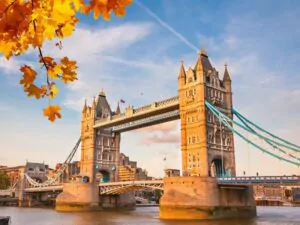 London Home of London Zoo. Picture of London Bridge behind a tree